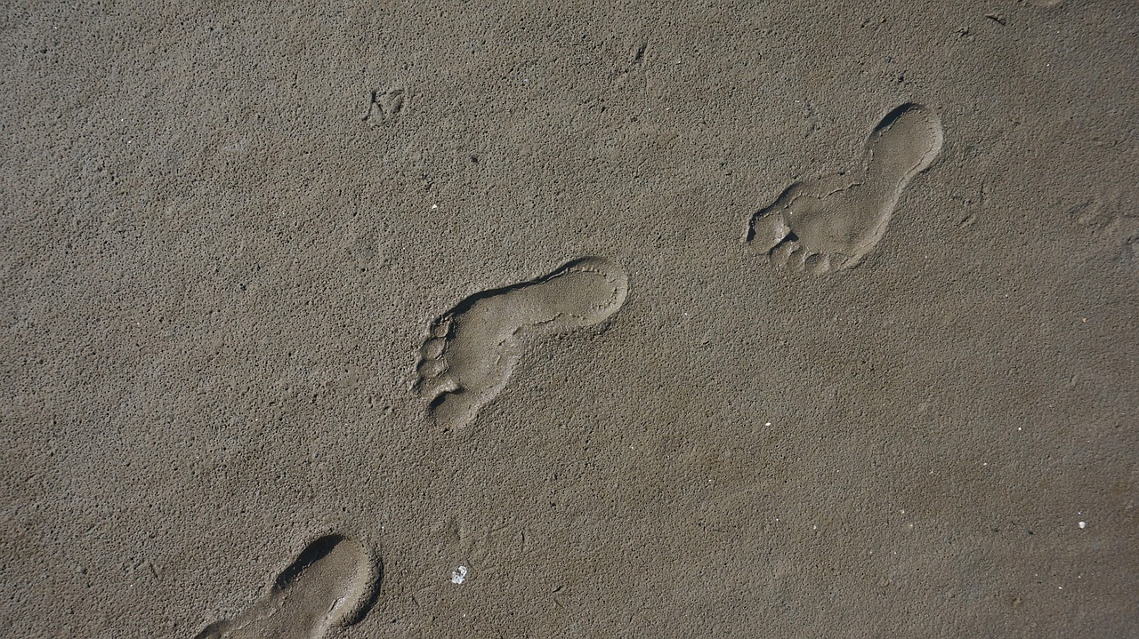 footprint, sand, sense, footprints, ephemeral, footprint, footprint, footprint, footprint, footprints, footprints, footprints, footprints, footprints