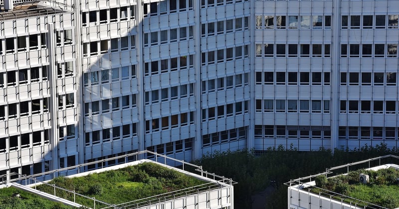 Toiture végétalisée : 7 avantages surprenants pour votre habitat urbain