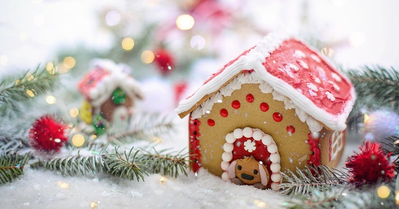 Fabriquer une niche isolée pour l'hiver : le guide complet étape par étape