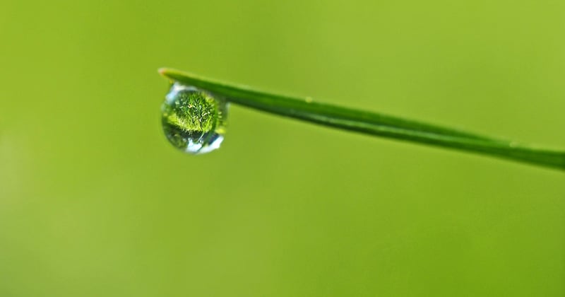 Comment recycler l'eau de pluie pour le jardin : 7 astuces simples