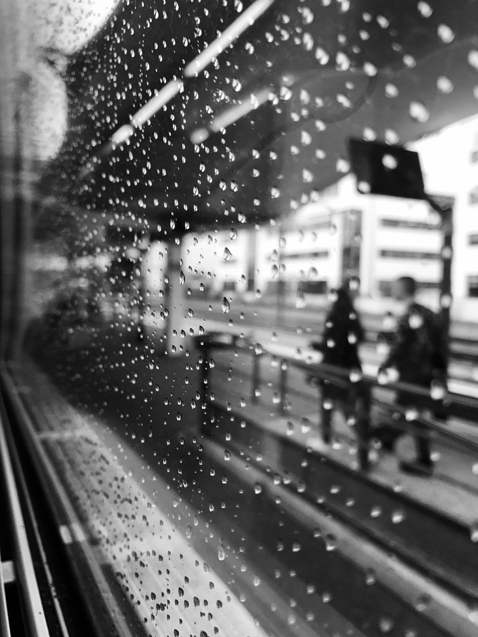 Comment le r&eacute;chauffement climatique transforme-t-il nos &eacute;cosyst&egrave;mes d&rsquo;ici 2050 ?